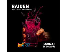 Табак Dark Side Sabotage Raiden 30г