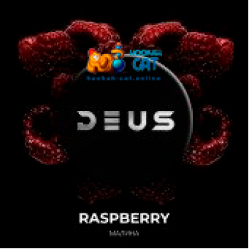Заказать кальянный табак Deus Raspberry (Малина) 30г онлайн с доставкой по всей России