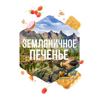 Табак для кальяна Сарма Земляничное Печенье 120г Акцизный