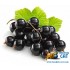 Табак для кальяна MiTs Black Currant (МиТс Черная Смородина) 60г Акцизный